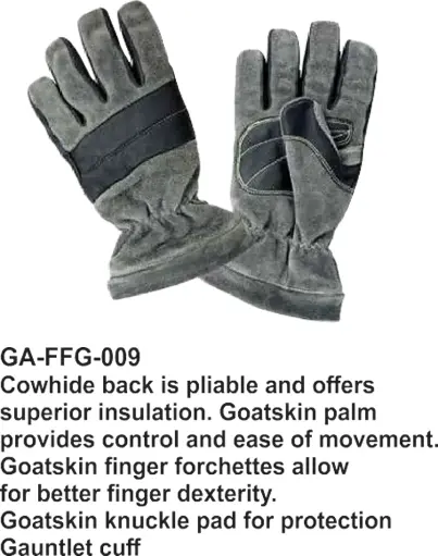 GA-FFG-009